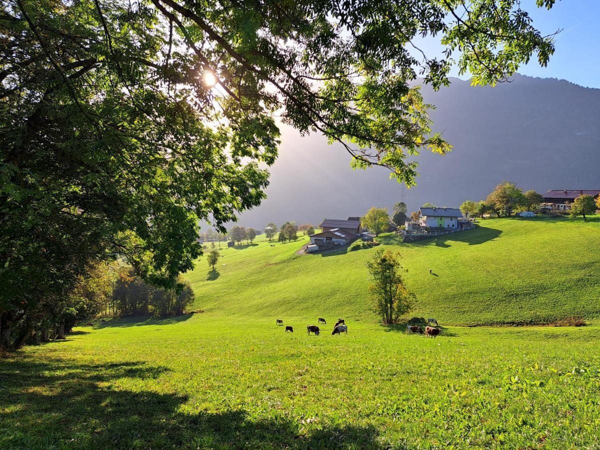 Knollgut Ferienwohnung Buchberg Goldegg im Pongau Exterior foto