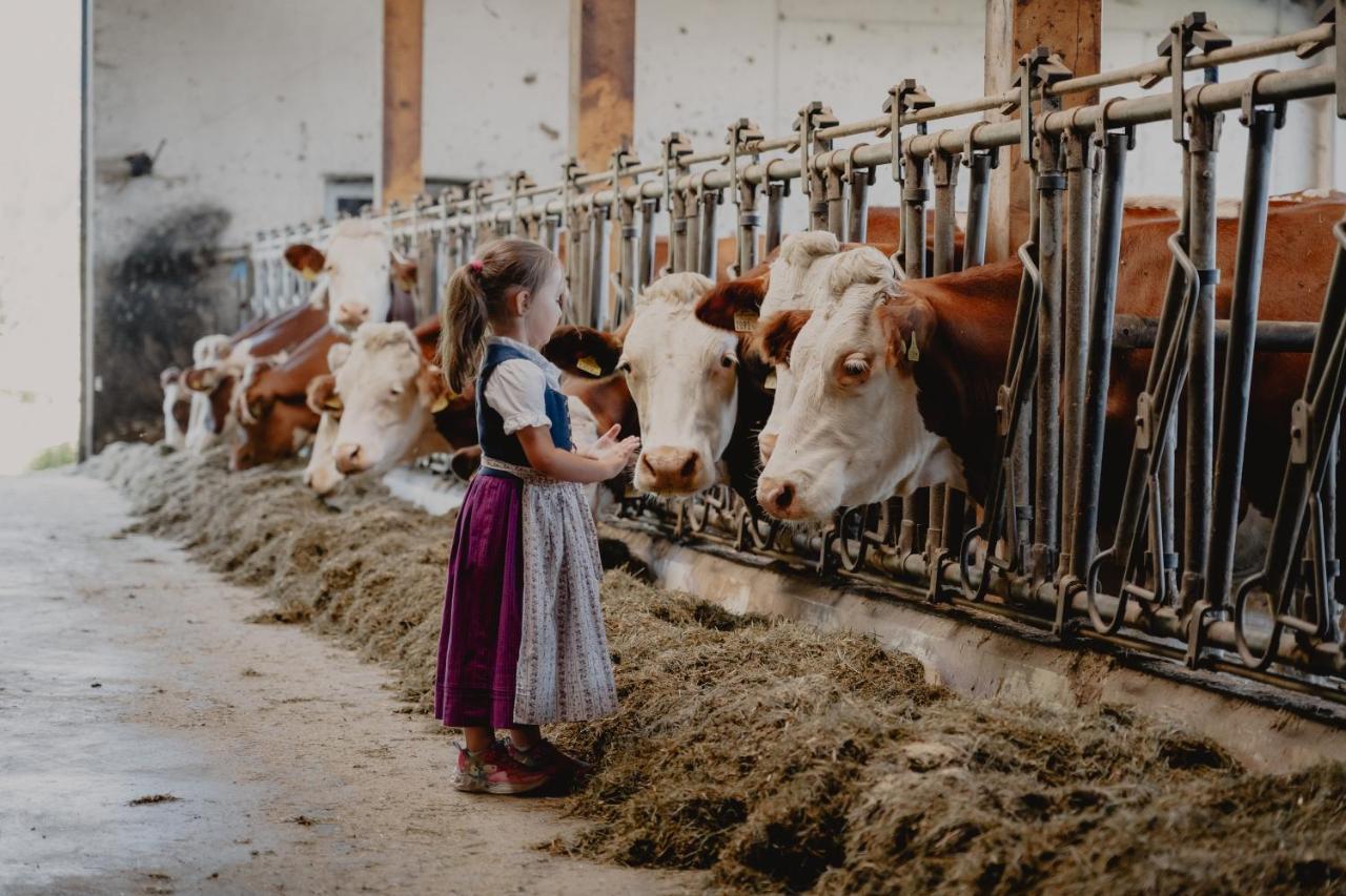 Knollgut Ferienwohnung Buchberg Goldegg im Pongau Exterior foto