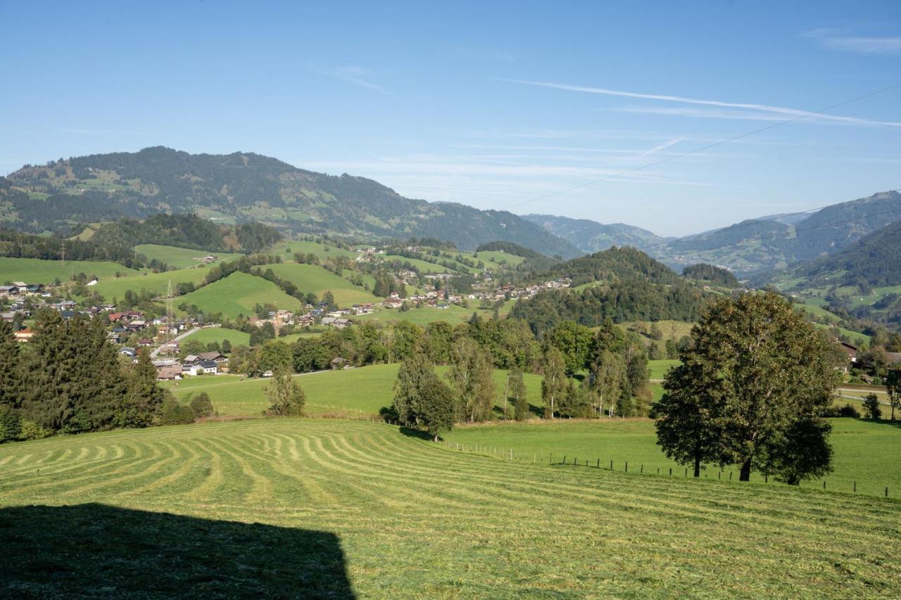 Knollgut Ferienwohnung Buchberg Goldegg im Pongau Exterior foto